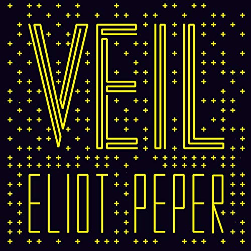 Veil by Eliot Peper